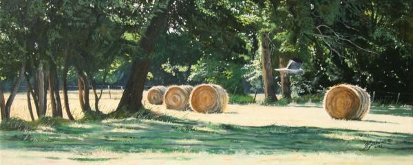 Peintures de : Bernard Guedon