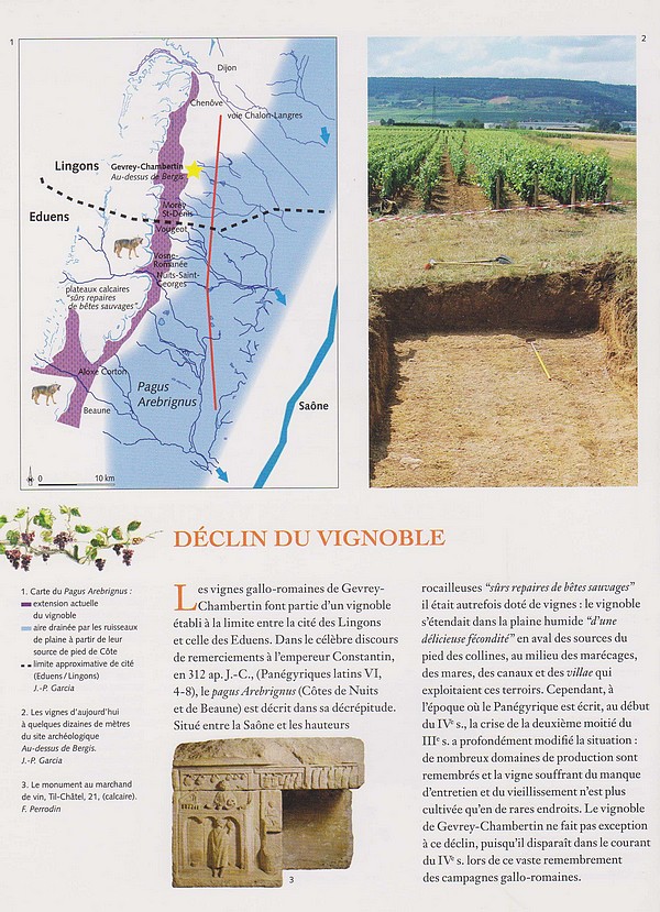Sébastien Chevrier de L'INRAP, a présenté une conférence sur les origines de la vigne à Gevrey-Chambertin(Côte d'Or)