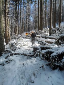 Neige tardive à Kopitoto