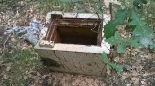 JARDIN DE VILLE, COFIOT ENSEVELIS AUX CHABAUDS