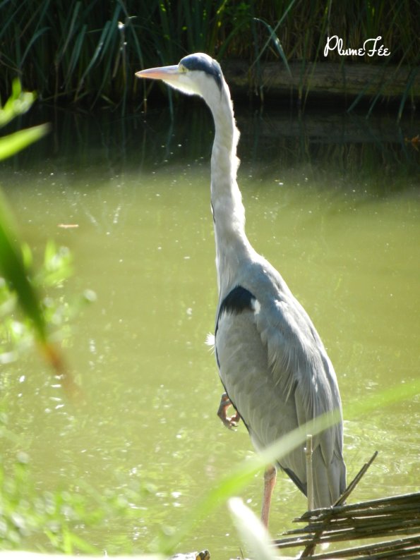 Image007.jpg