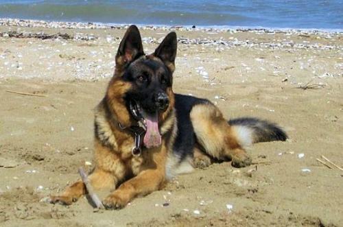 Blagounettes du mercredi ... !!!