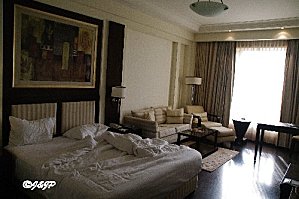Imgp7985marq.jpg