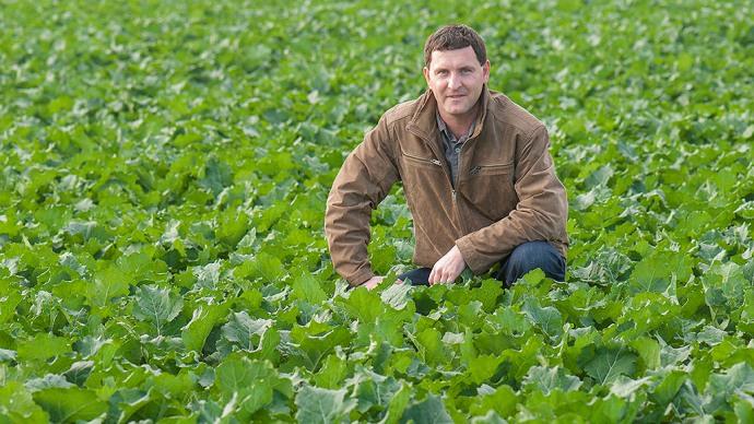 La Hongrie dans l'Europe