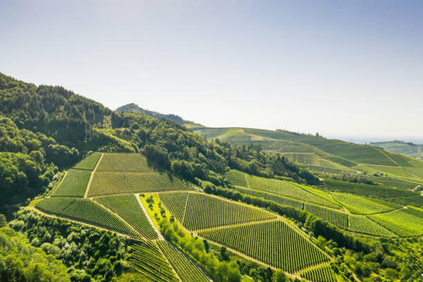 Département du  Haut-Rhin 