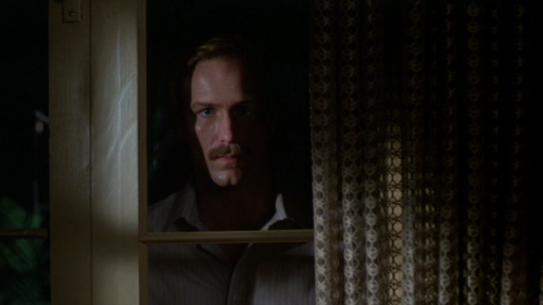 La fièvre au corps, Body heat, Laurence Kasdan, 1981