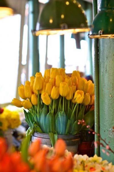 Tulipes