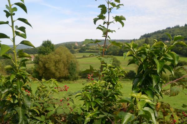 Sur la route de La Coudalère : Bibracte et Autun