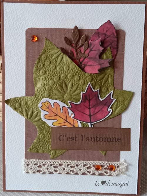 Scrap / C'est l'automne...