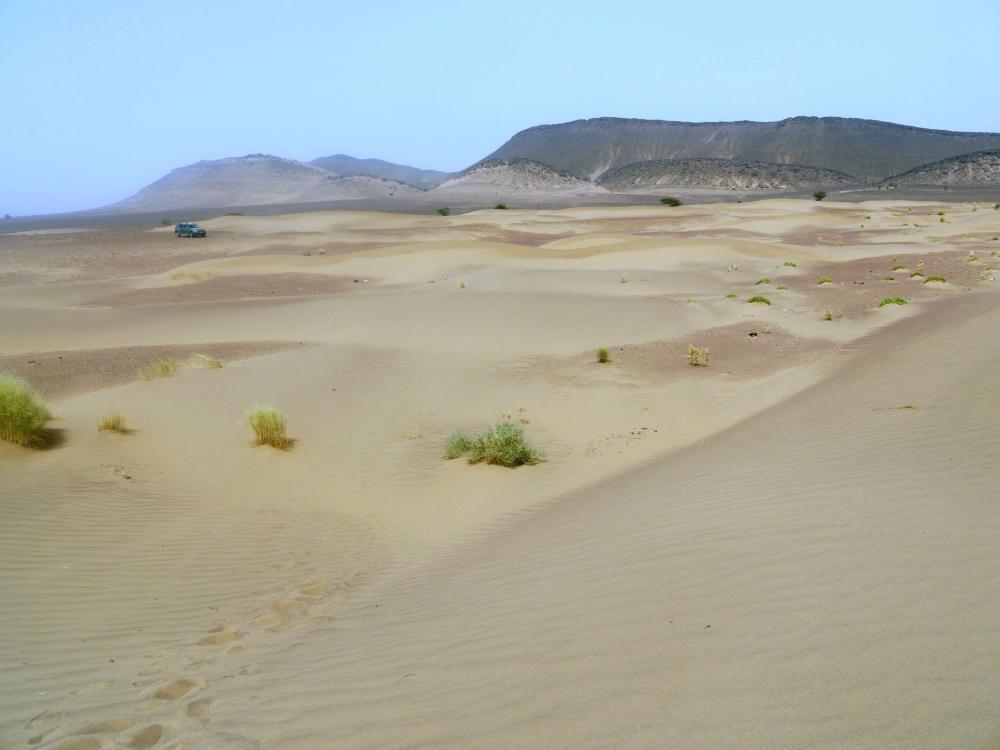 Dunes de Oumjrane 