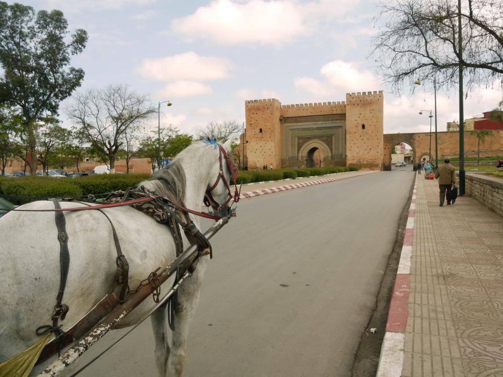 Meknès