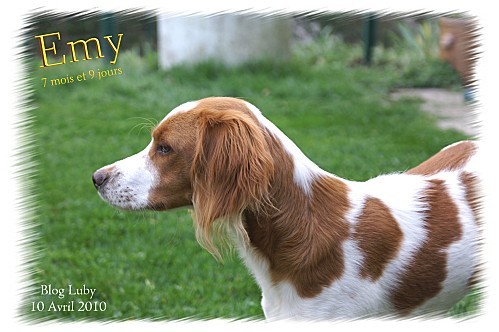 04 10 04 2010 7 mois 9 jours