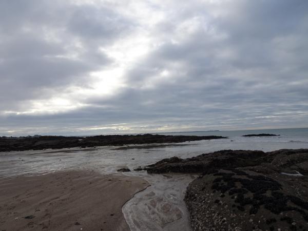 Un dimanche matin d'hiver à la plage