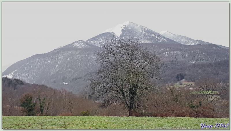 Au retour du marché d'Aspet, paysage vu depuis le plateau de Hournech - Milhas - 31