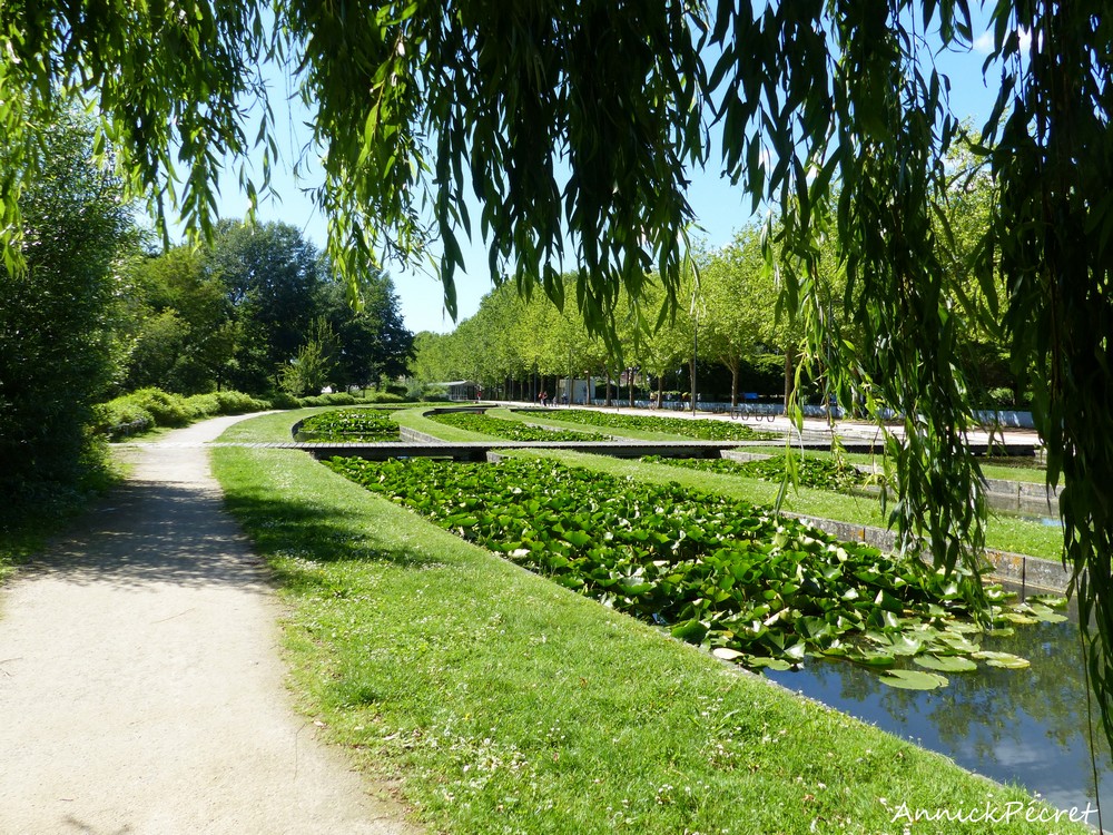A canicule annoncée, photos rafraîchissantes