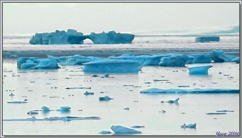 Débarquement à Grise Fiord (ᐊᐅᔪᐃᑦᑐᖅ ou Aujuittuq, le Village qui ne dégèle jamais) vu du navire - Ellesmere Island - Nunavut - Canada