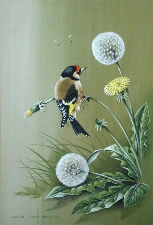 oiseaux en peinture (suite)