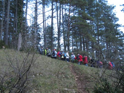 "Ahuy - Charmes aux Lièvres" - Dimanche 17 janvier 2016