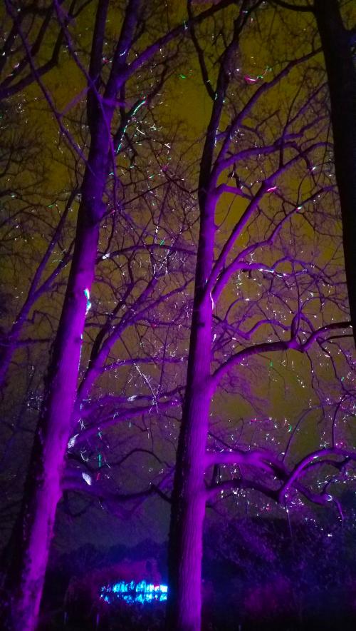 L'hospitalité de l'An Neuf