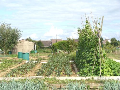 L'été aux Jardins Familiaux...