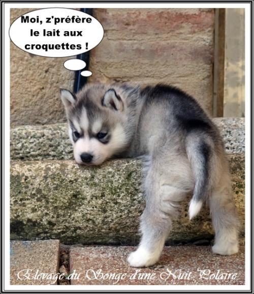 Portée d'Ourika (6 novembre 2023)