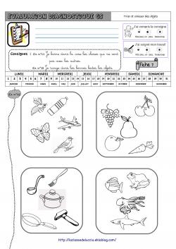 Evaluation Diagnostique GS