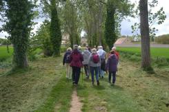 La balade du 14 mai à l'abbaye d'Ardenne