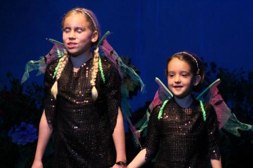 PHOTOS Petits songes et faceties