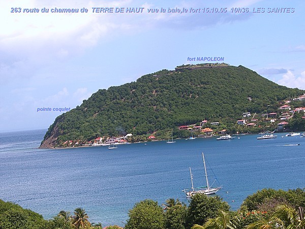 20205-10---TDH-971-LS-228.jpg