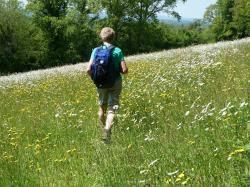 La randonnée du 30 mai à Montchauvet