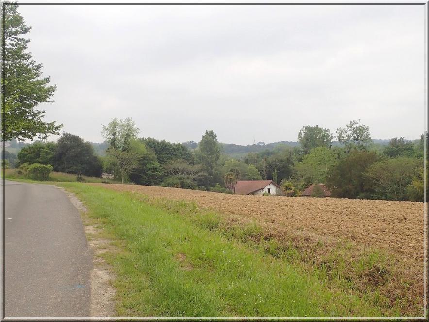 919 - Suite20 : -Notre Chemin vers St Jacques de Compostelle à travers ses anecdotes-