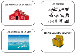 Cartes pour faire des jeux de langage