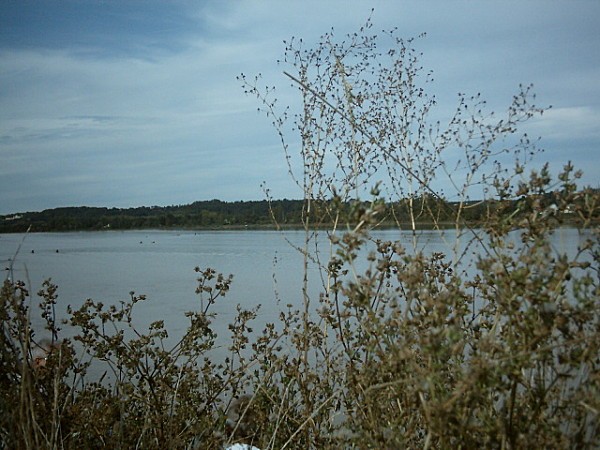 a-Saint-Pardon-au-bord-de-la-dordogne.jpg