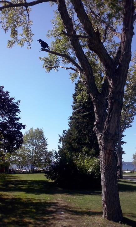 Autumn in Aylmer and Ottawa III