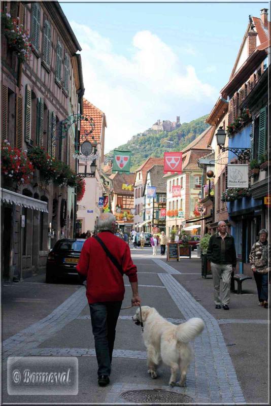 Alsace Haut-Rhin Route des Vins Ribeauvillé château de Saint Ulrich