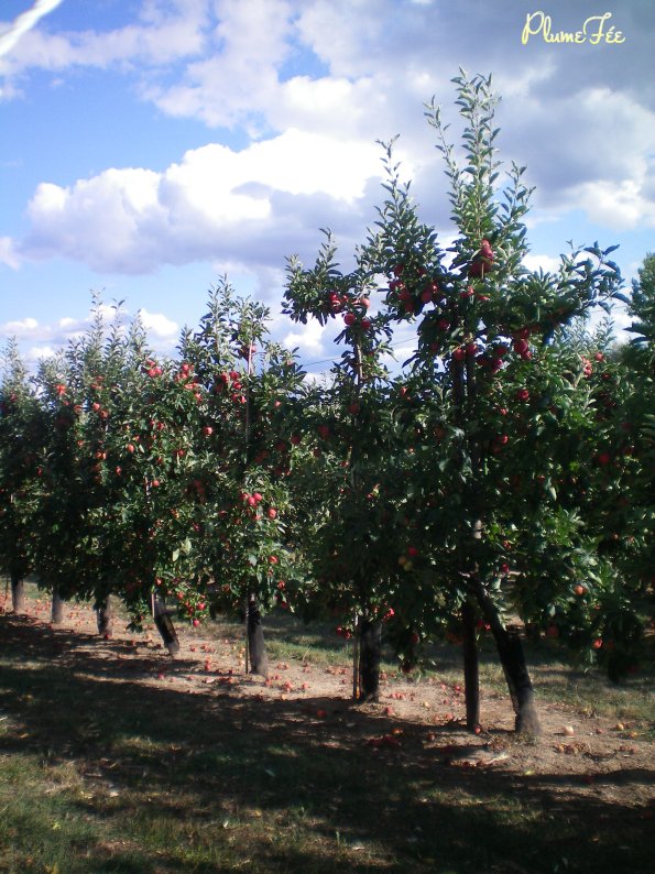 Image010.jpg