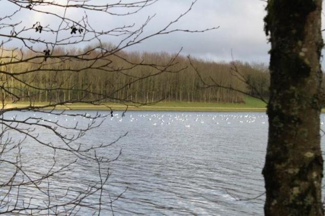 Au lac du Drennec (18)