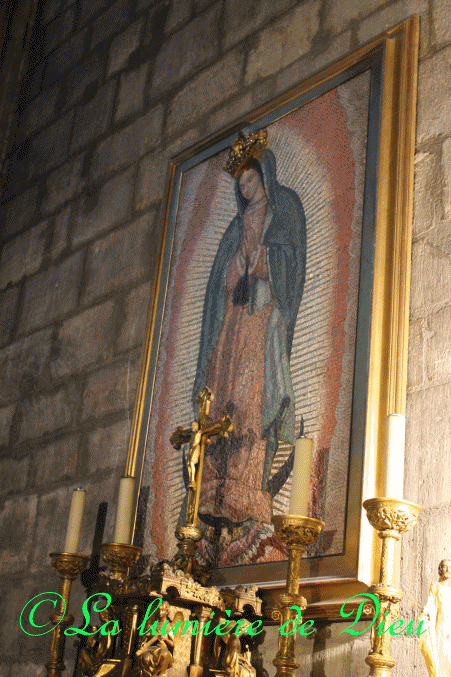 La cathédrale Notre-Dame de Paris