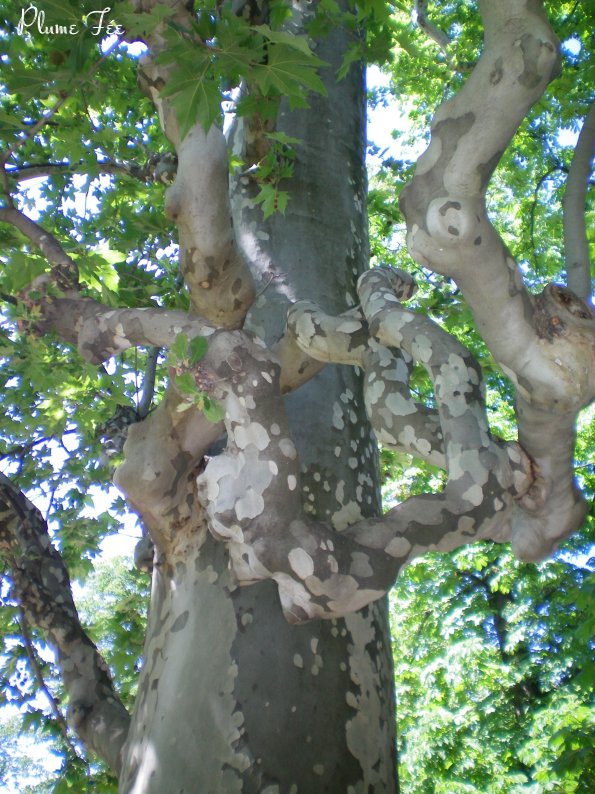 Image016.jpg