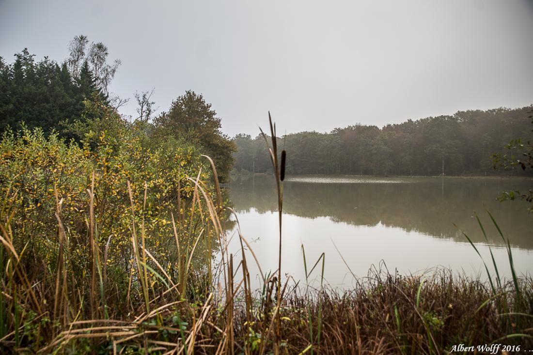 Étang Adrien au Chemenot