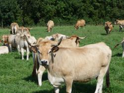 Lundi en une, deux , trois, quatre, ( et bien plus encore ) Photos !