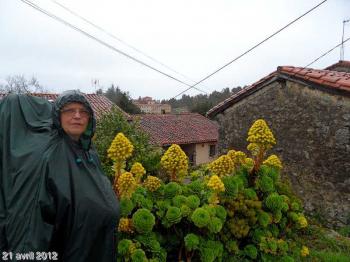 (J17) Cobreces / Santillana del Mar 21 avril 2012