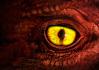 Regard_051.jpg