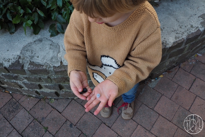 Petits bonheurs de septembre