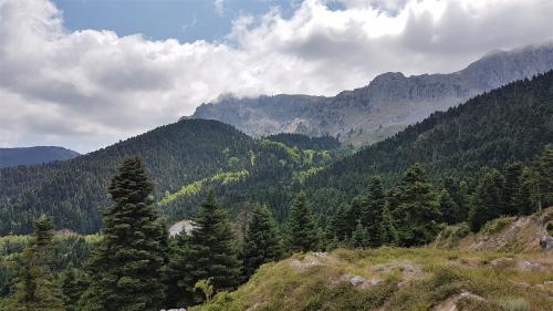 Le B de l'intérieur !