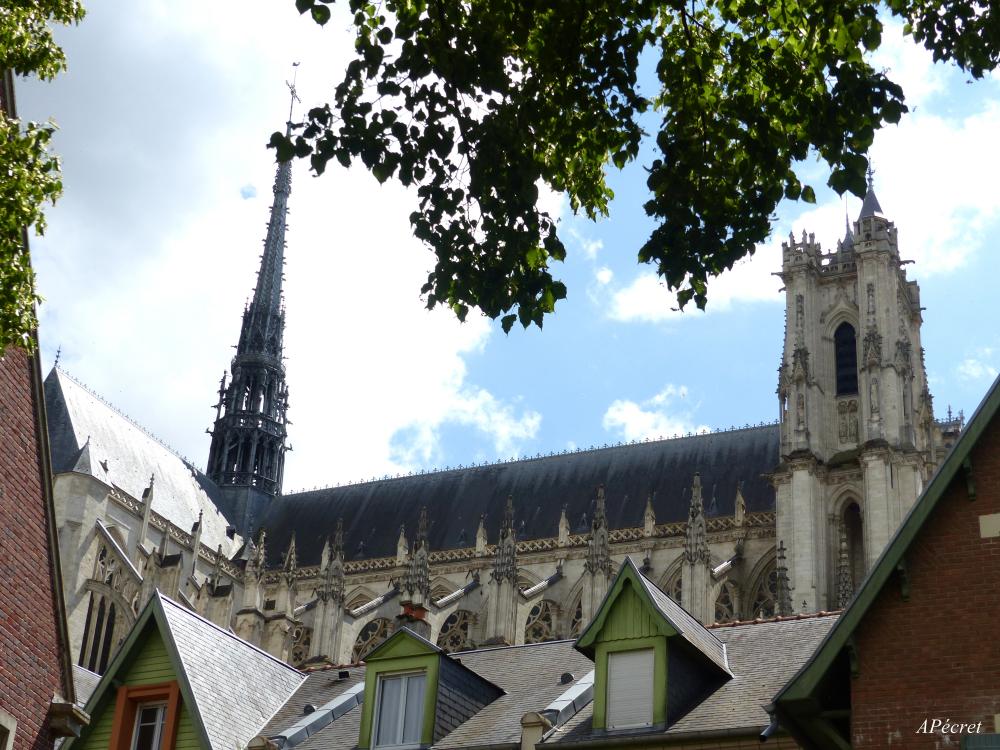 Des petits coucous de ma Dame