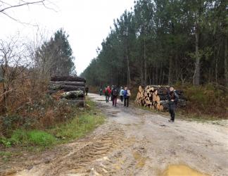 CR / RANDO 15 / CASTRES-GIRONDE 