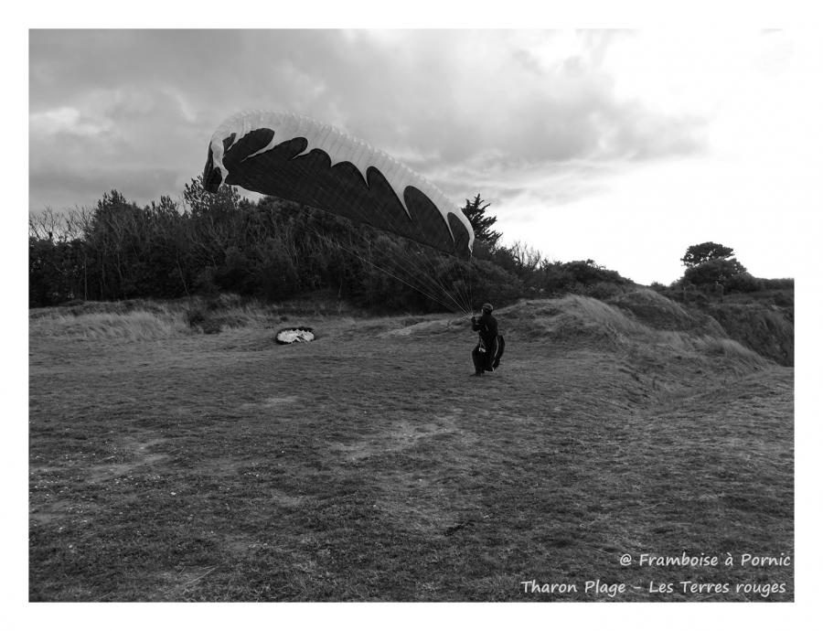 Tharon plage - Fais comme l'oiseau 