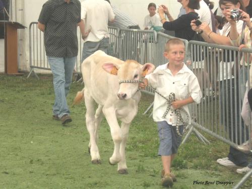 Les Journées Châtillonnaises 2009