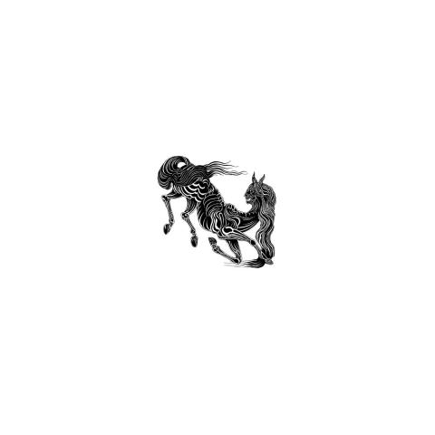 RORCAL - Détails et extrait du nouvel album Muladona